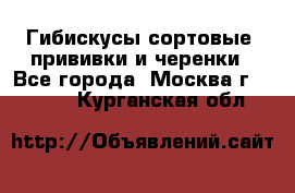 Гибискусы сортовые, прививки и черенки - Все города, Москва г.  »    . Курганская обл.